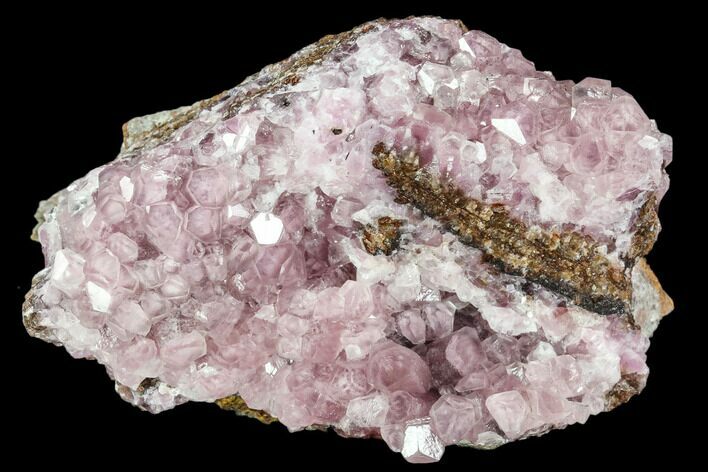 Cobaltoan Calcite Crystal Cluster - Bou Azzer, Morocco #108745